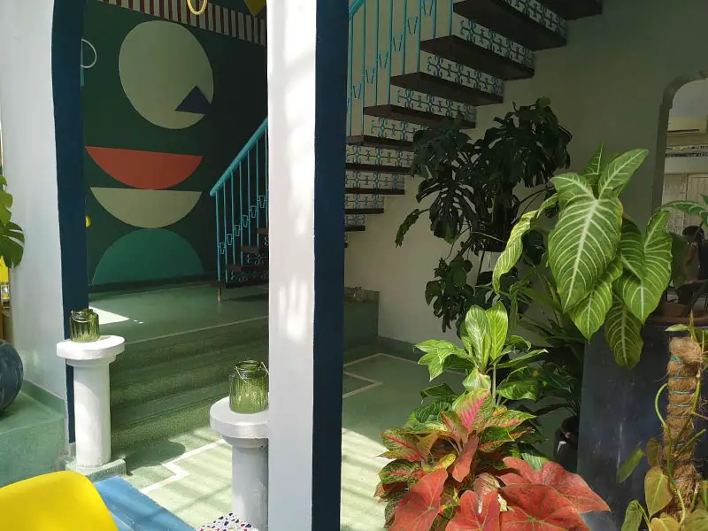 tons-of-indoor-plants-and-modern-painted-walls-inside-ruma-puteh