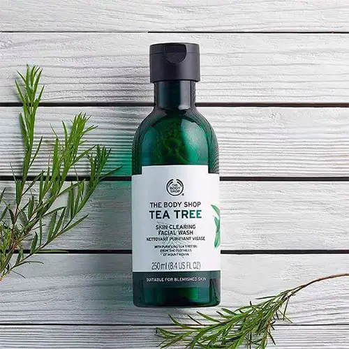 Best Cleanser For Oily Skin Malaysia The Body Shop Tea Tree Skin Clearing Facial Wash