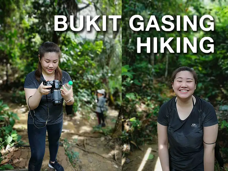 Bukit Gasing hiking