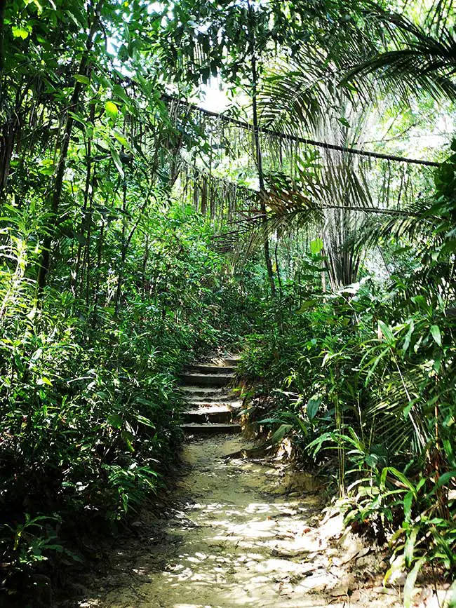 a hiking route heading uphill