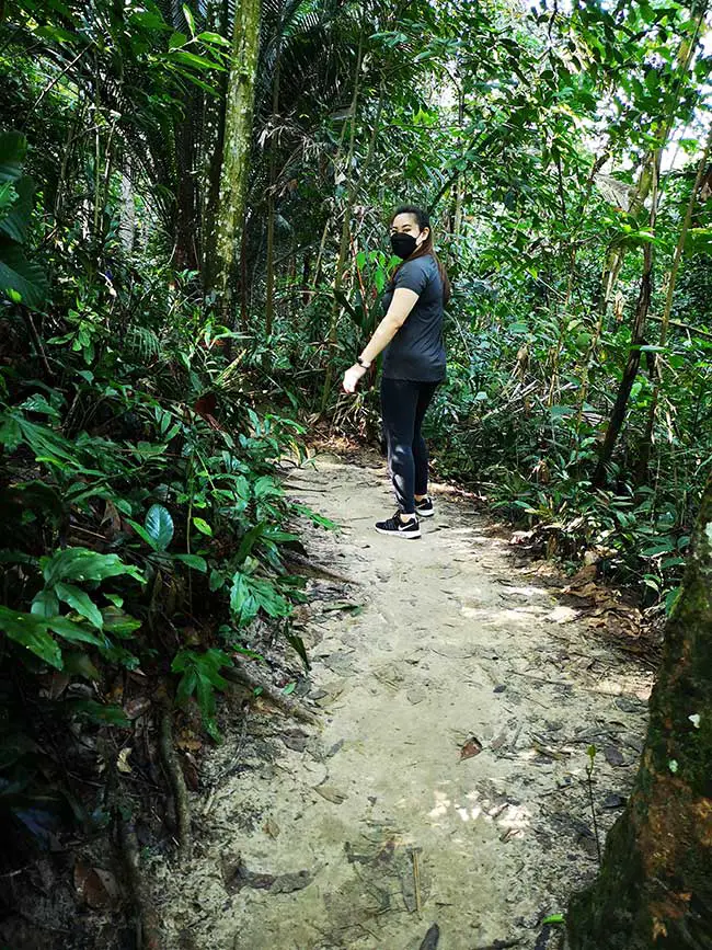 another path in the hiking jungle