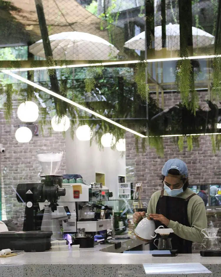 barista showing his skill in the alcea coffee