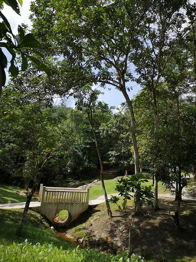 bridge with a round tunnel in taman rimba bukit kerinchi park