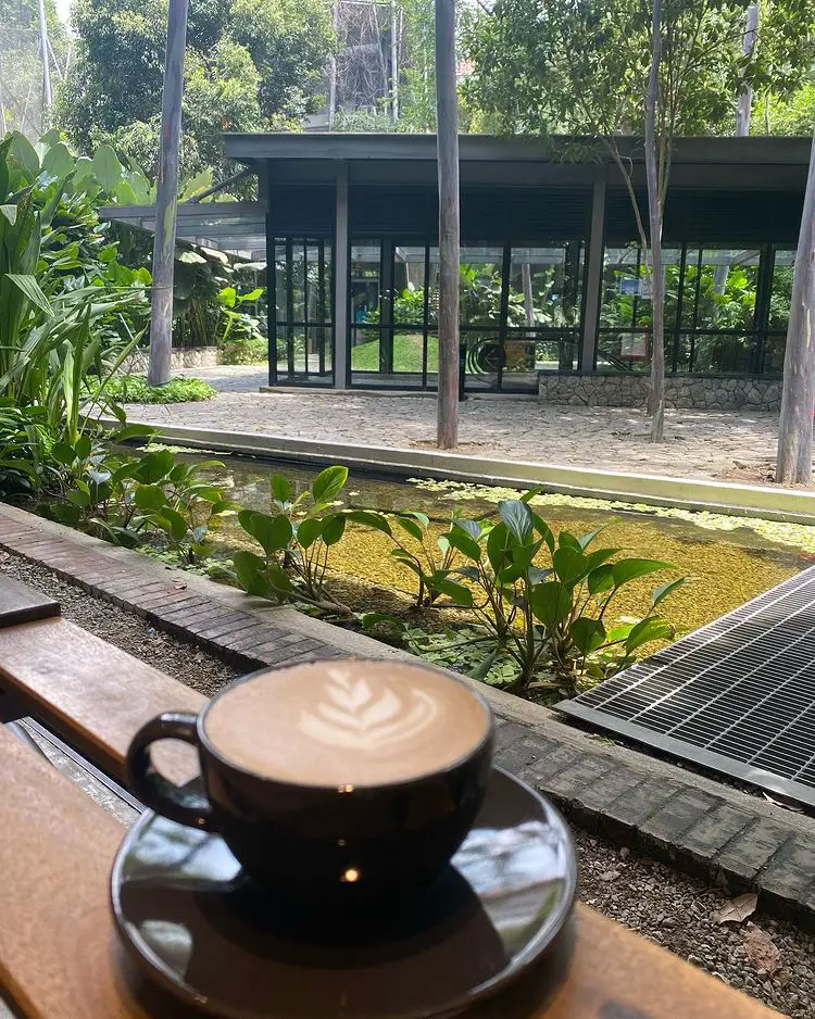 coffee overlooking the view at the front of book barter cafe