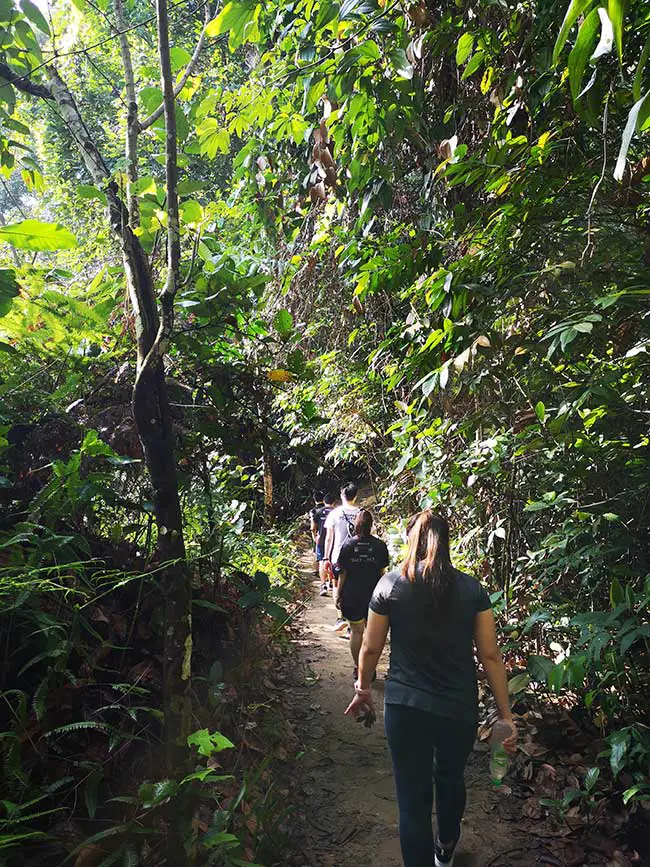 exploring hiking trails early morning