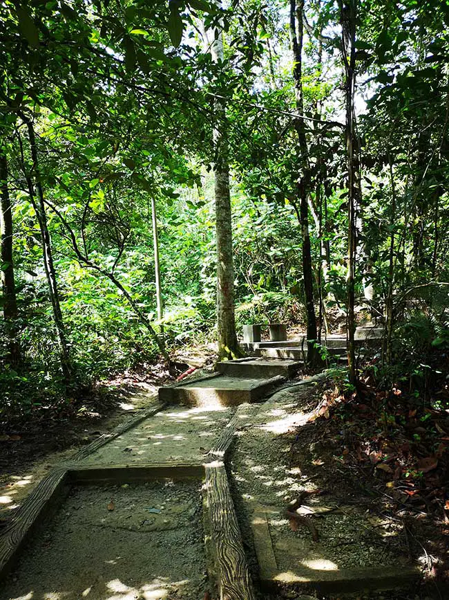 flight of paved stairs to the jungle