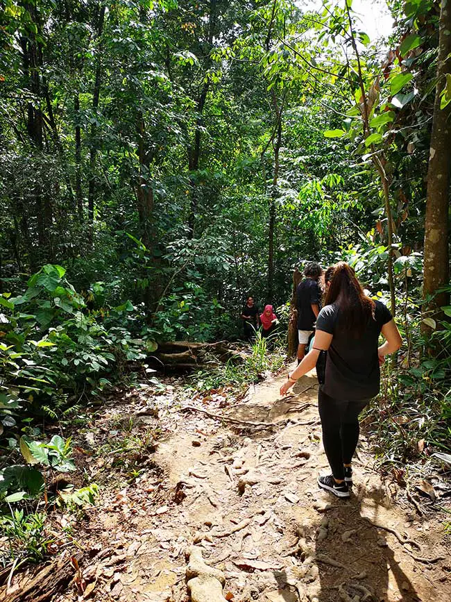 hikers making their way down the hill