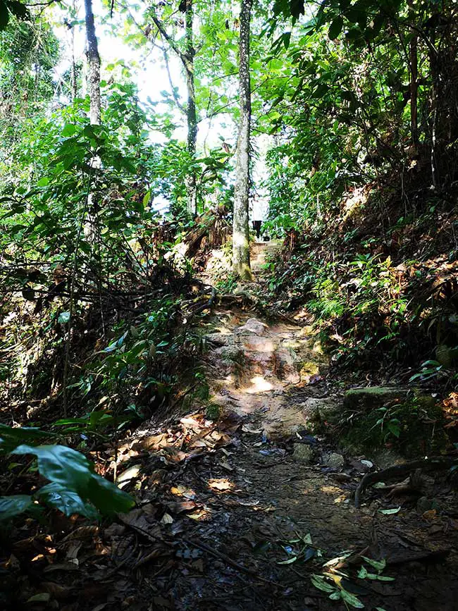 hiking trail formed by consistent stepping