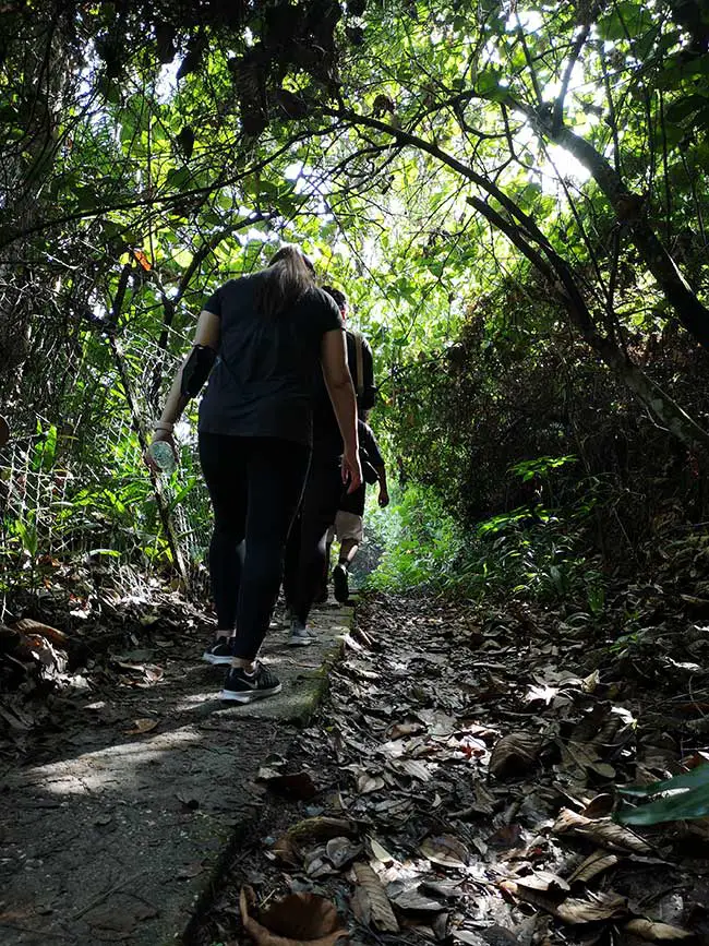 low angle view of the hikers