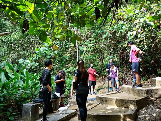 mingling with other hikers in bukit gasing