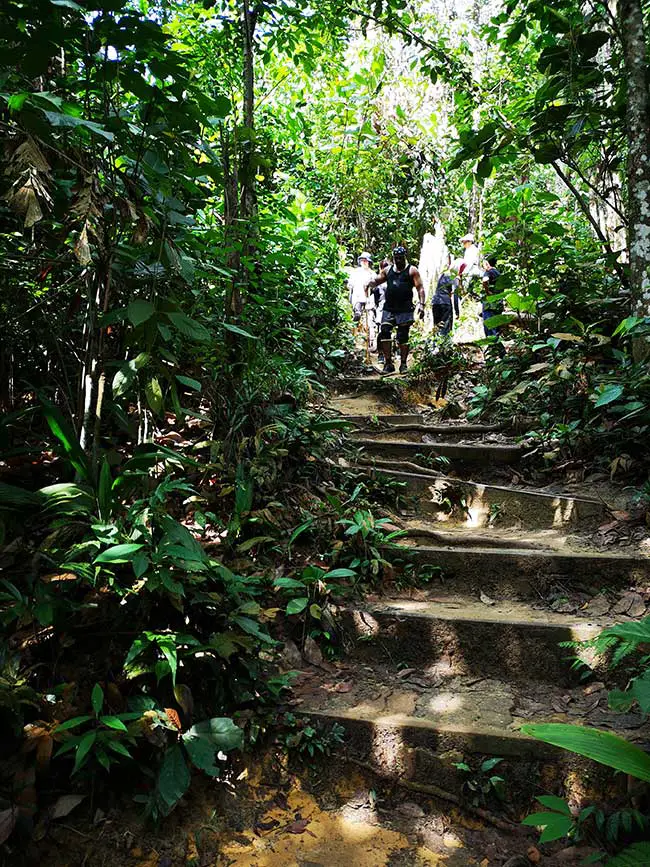 other hikers making their way down from the junction