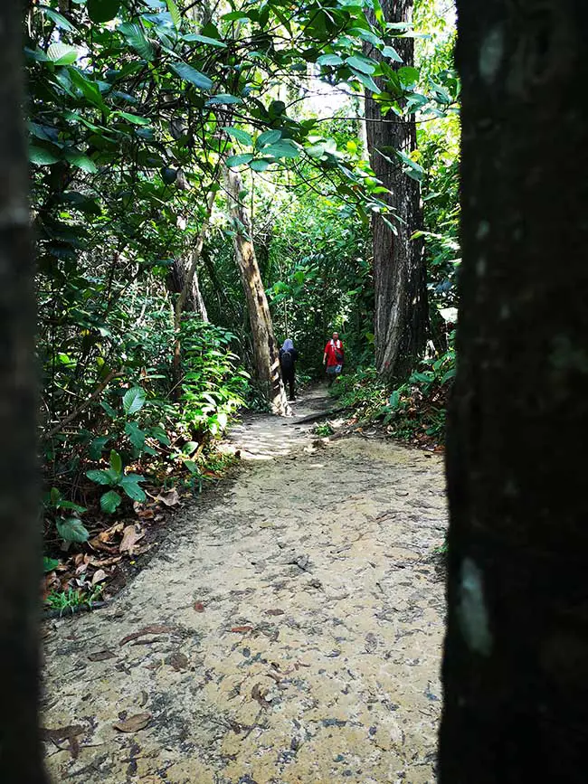 other hikers making their way up the trail