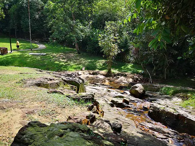 small stream at taman rimba bukit kerinchi