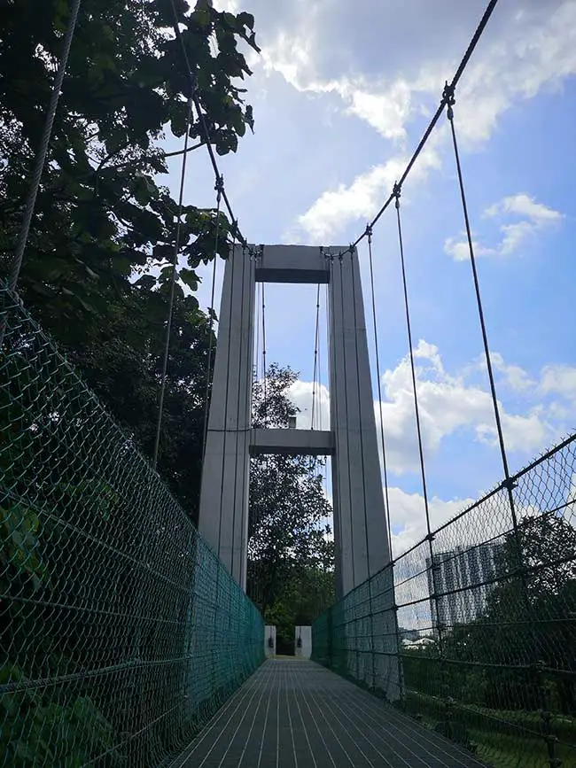 symmetrical view on the steel suspension bridge