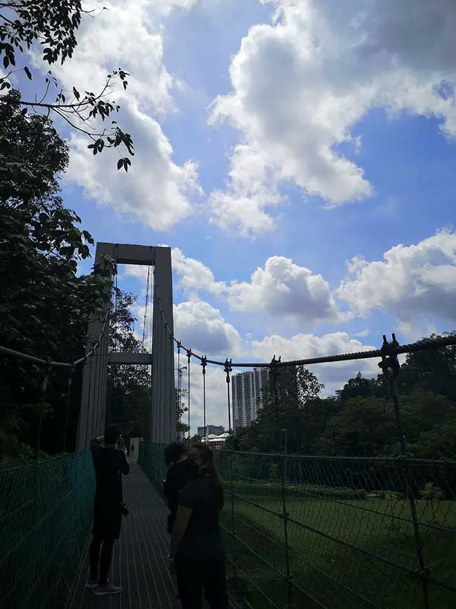 taking photo on the steel bridge