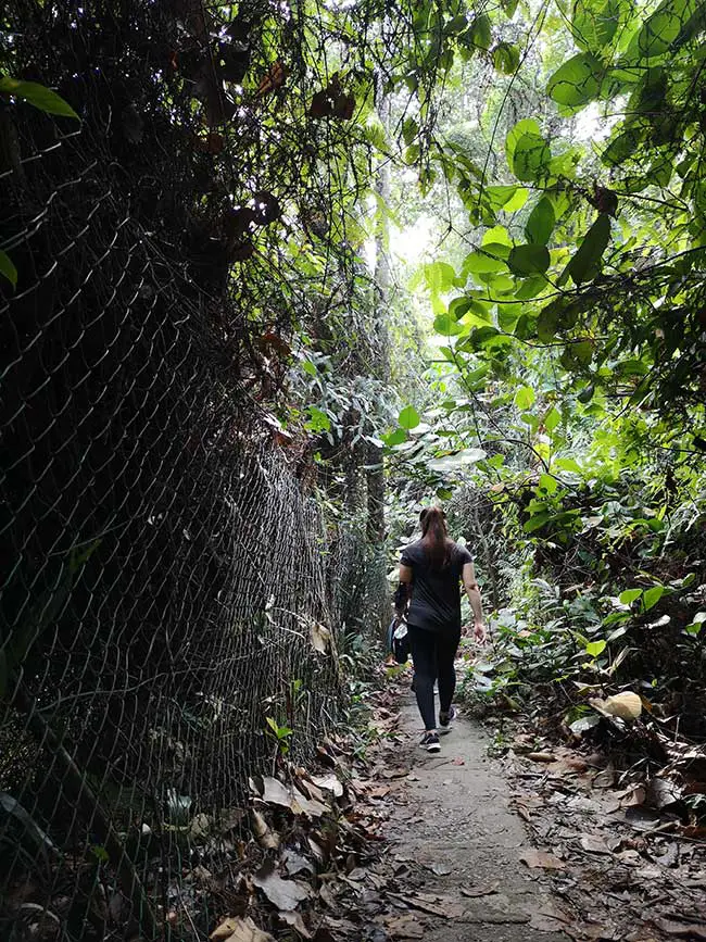 the fenced route to the watchtower