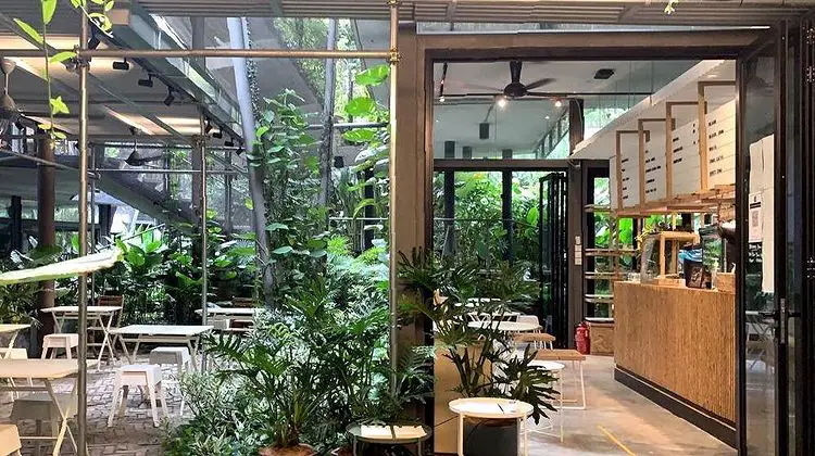 the quiet ambiance of the botanist in cyberjaya