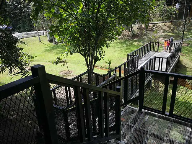 top view of the steel staircase