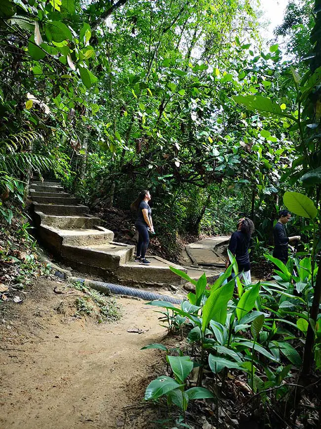 trail leading to the paved routes