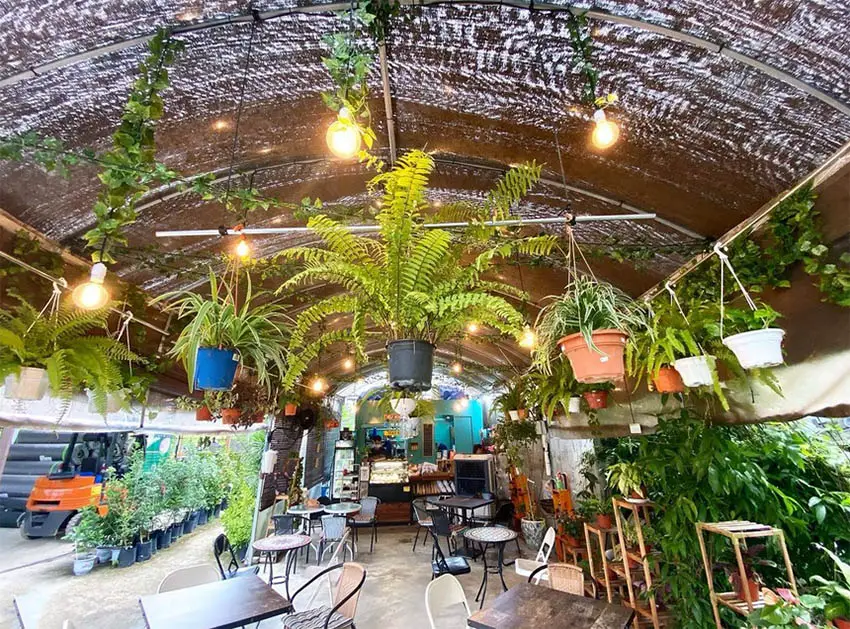 brew and bloom bukit jalil cafe interior