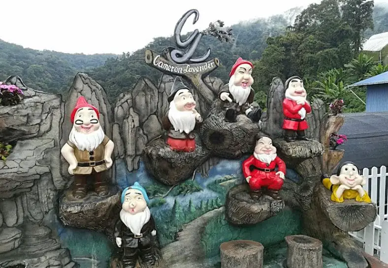 dwarf from disney background