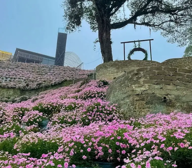 flower field overlooking the round chair