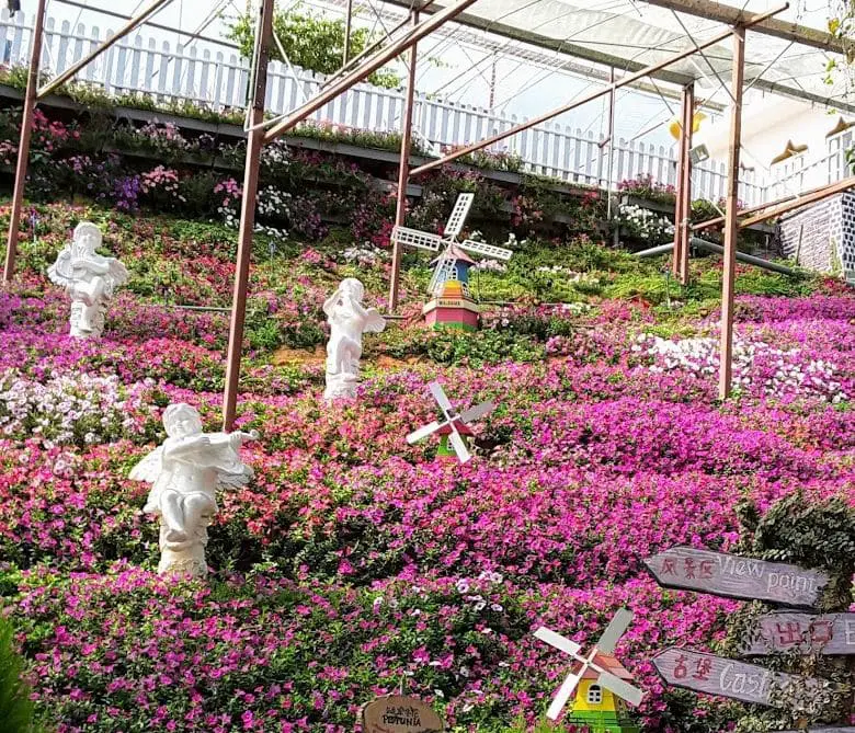 flower field with garden ornaments scattered around