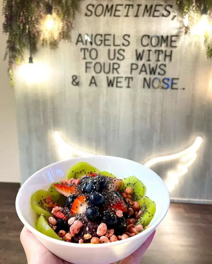 fruit bowl dessert served in this dog cafe