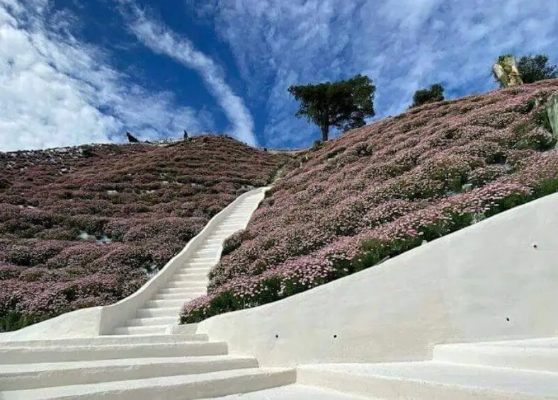 low angle shot of the epic white stairs in flora park cameron highlands