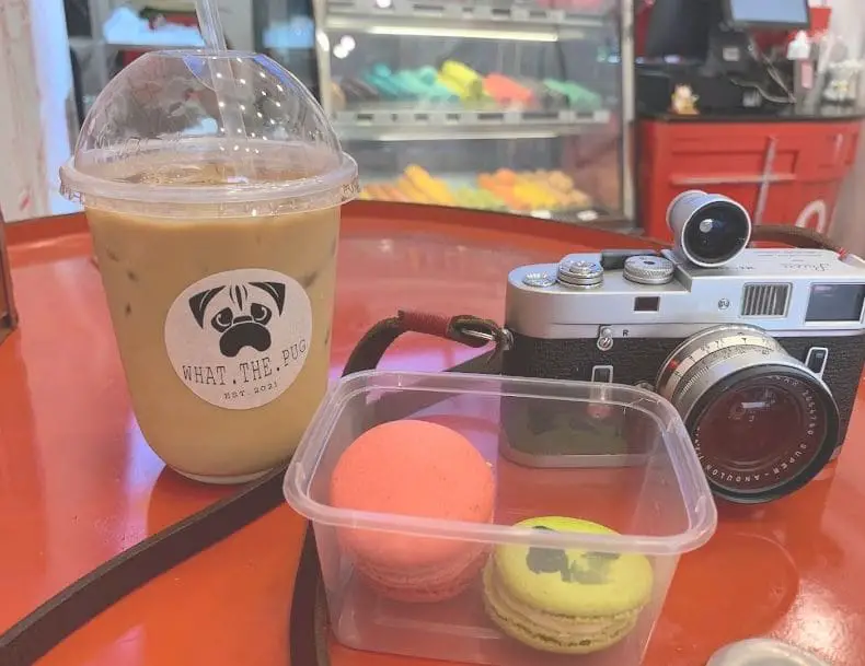 macarons and drinks served in what the pug dog cafe singapore