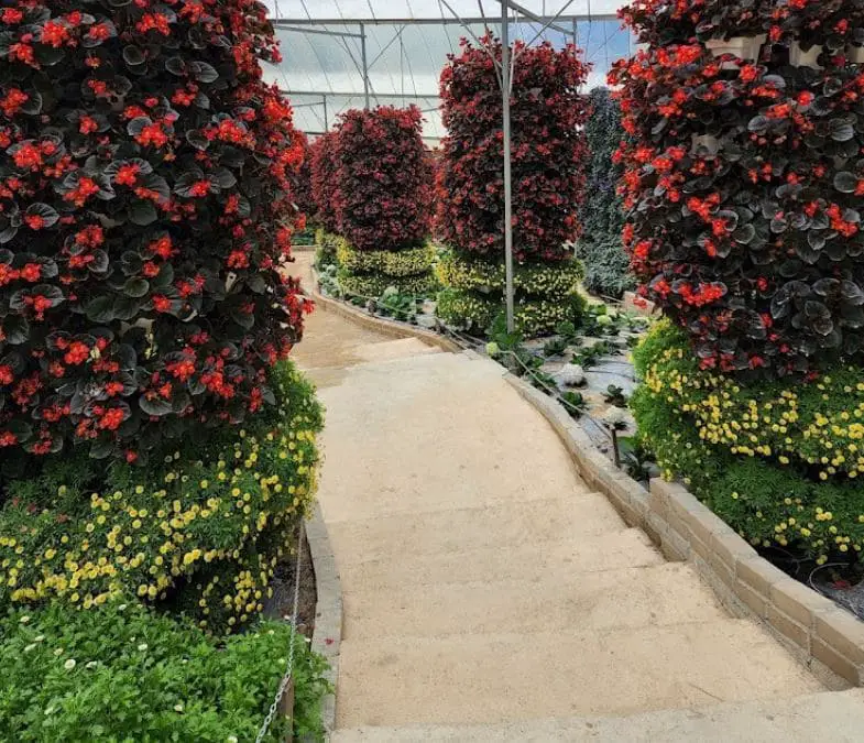 red flower pillars aligning the path uphill in flora park