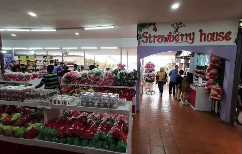strawberry house souvenir shop