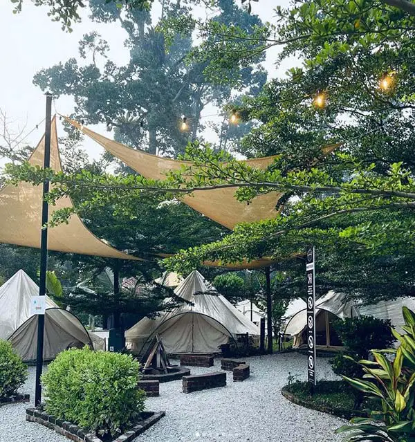 tent-setup-by-the-gopeng-glamping-park-malaysia