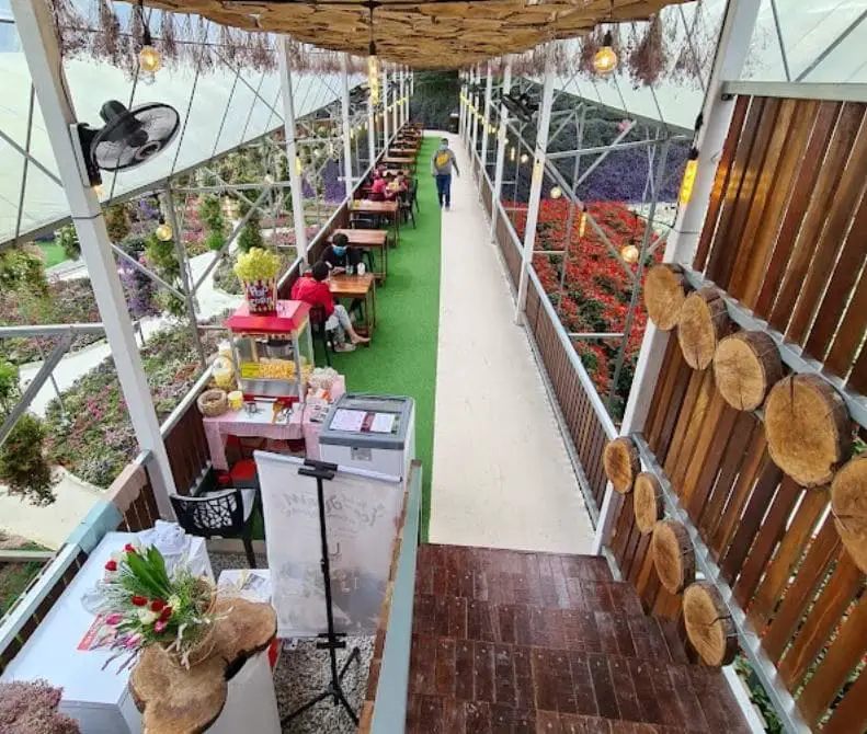 view of the cafe from the stairs