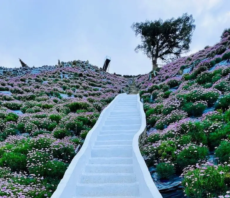 white stairs leading up