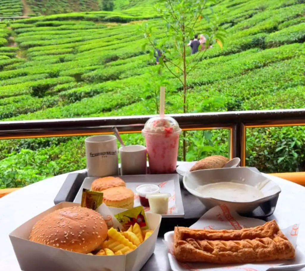 breakfast with a tea plantation view at cameron valley tea house 1