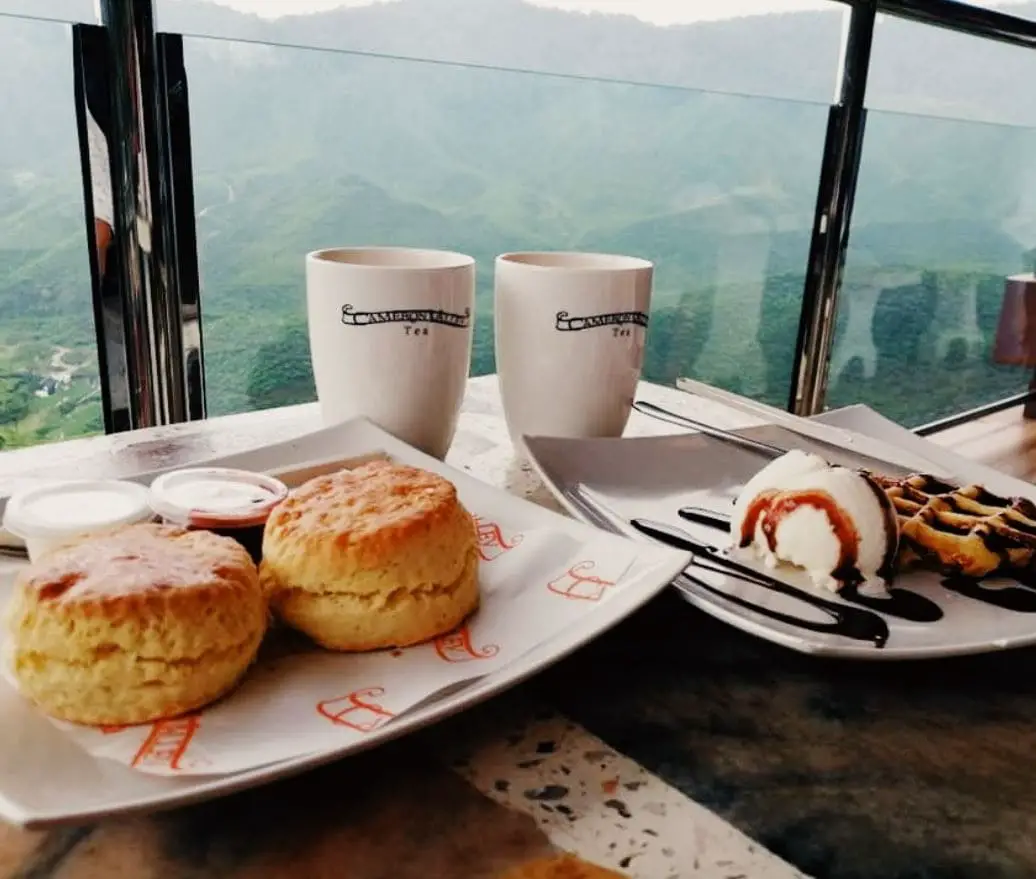 scones and ice cream waffle with tea at cameron valley tea house 1