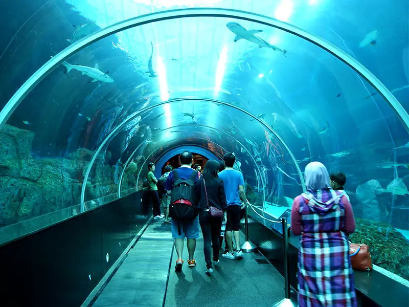sea-aquarium-near-universal-studios-singapore