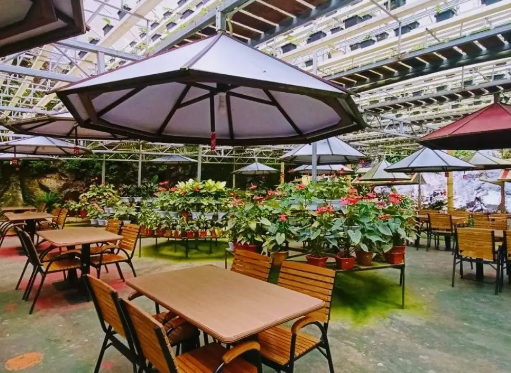 seating inside agro highlands cafe cameron highlands