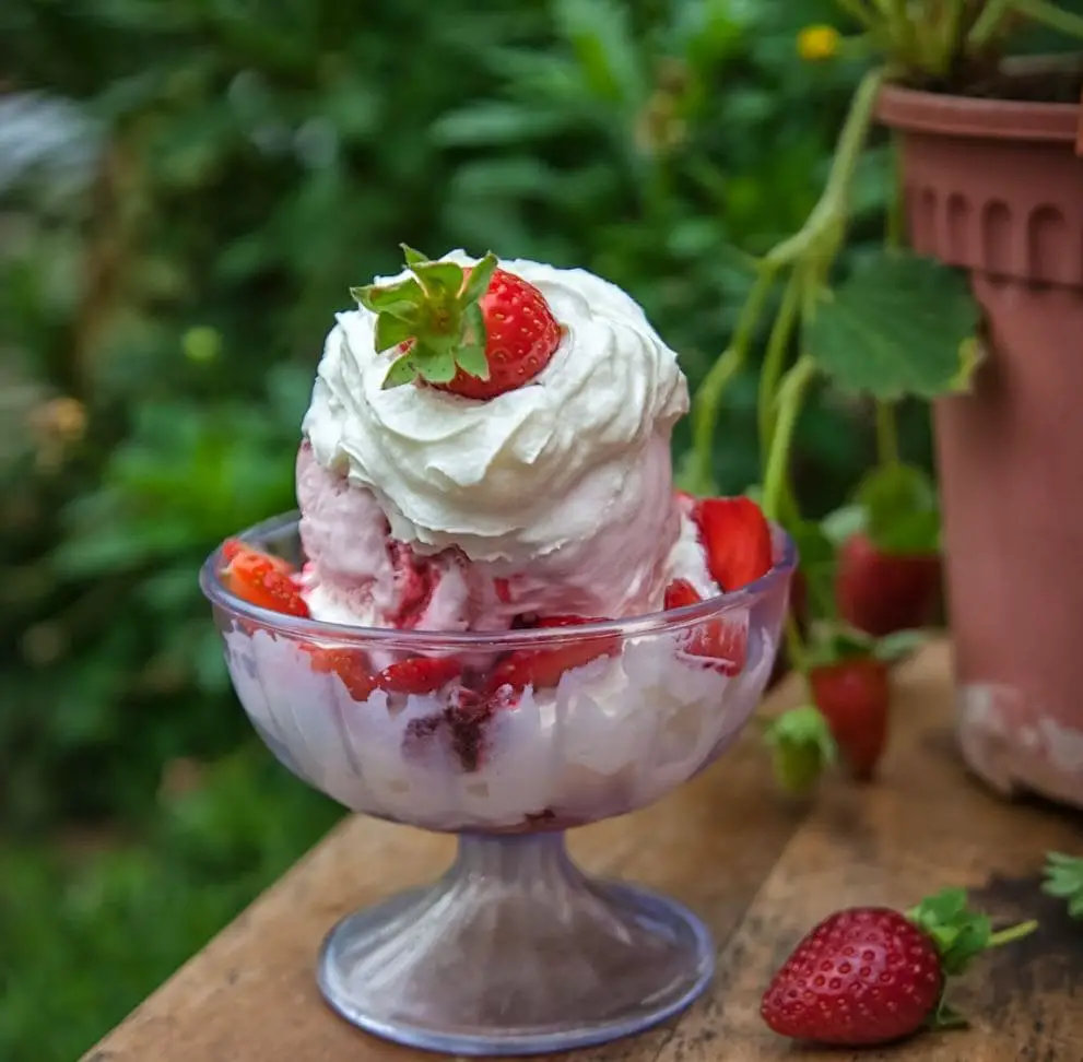 strawberry ice cream sundae at 200 seeds cafe