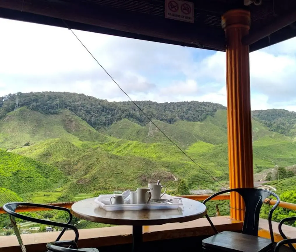 tea plantation view from inside of cameron valley tea house 1