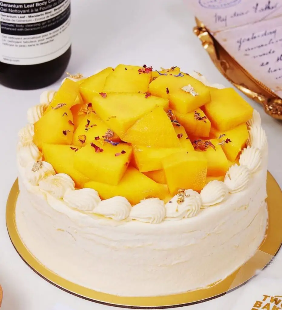 mango cake by twobakeboys bakery in bugis