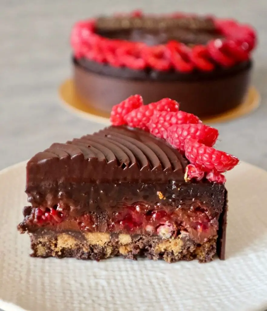 raspberry chocolate cake by baker and cook bugis cake shop