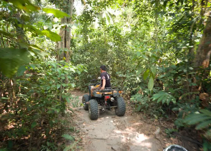atv ride into the jungle of monkey beach in penang