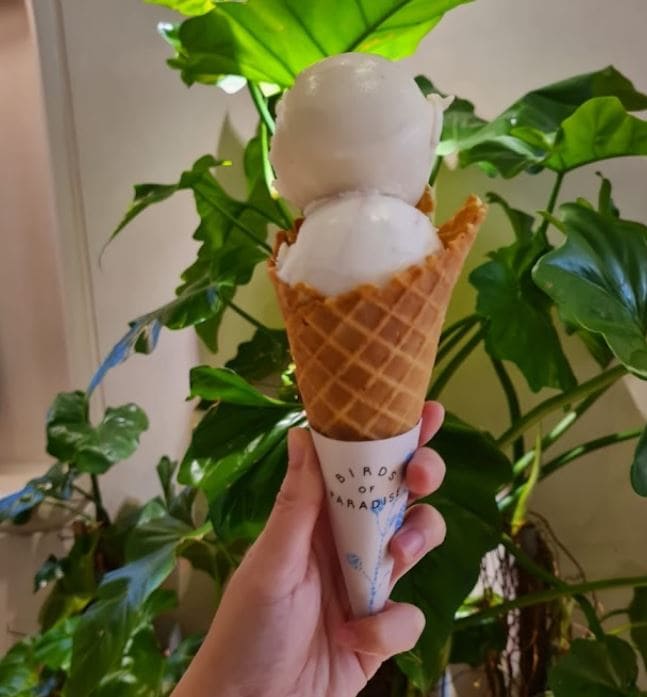 coconut ice cream is famous here at birds of paradise gelato boutique near tanjong pagar