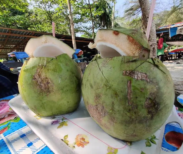 fresh coconut at stalls near monkey beach