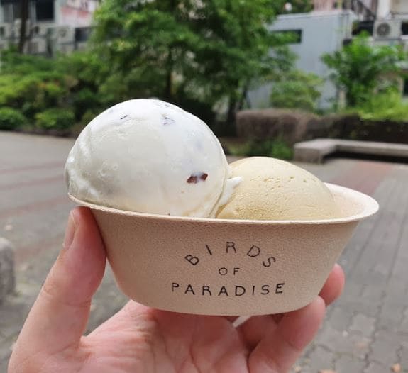 ice cream in a boat shaped cup at birds of paradise cafe