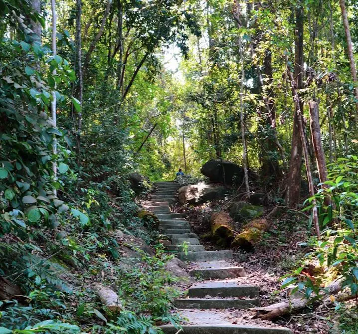 jungle trail to hike up to the lighthouse