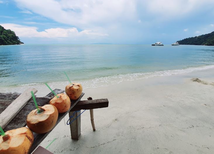 picnic by the beach with fresh coconut juice