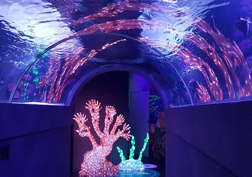 The Shore Oceanarium through the tunnel